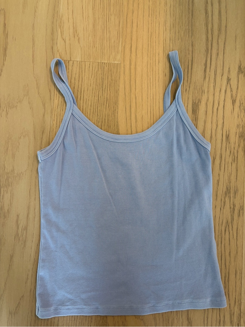 Aritzia homestretch blue tank top